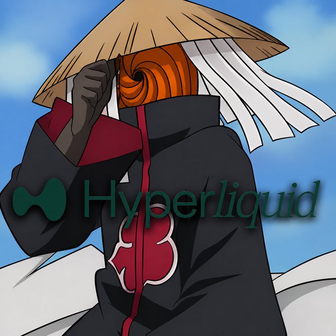 The image features an anime character wearing a straw hat and a black cloak with red clouds, overlaid with the "Hyperliquid" logo and text. It ties into the "GM $HYPE bulls" post by visually branding the Hyperliquid name alongside the masked figure, symbolizing bullish sentiment for the HYPE token within the crypto community.