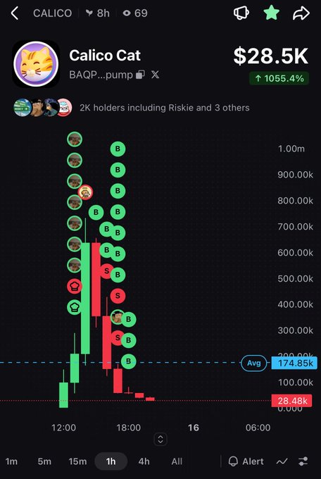Trading chart screenshot for 'Calico Cat' (CAQP...pump) showing a price of $28.5K with a 1055.4% increase, displaying candlestick patterns with buy (B) and sell (S) signals on a 1-hour timeframe.