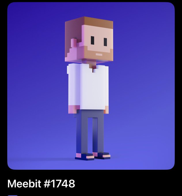 A 3D pixelated/blocky character NFT labeled 'Meebit #1748' featuring a figure with brown hair and beard, white shirt, and dark pants on a purple background.