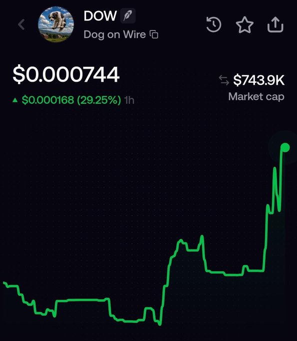 The image shows a cryptocurrency price chart for $DOW (Dog on Wire), displaying a price of $0.000744 with a 29.25% gain (up $0.000168) over 1 hour and a market cap of $743.9K. The chart illustrates a massive rally and sharp retracement pattern that aligns with the post's celebration of the token's recent surge and call for traders to "grab some bags" before the next leg up.
