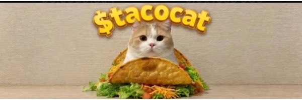 "Anotha one" is a post by someone who has created an image of their cat sitting inside a taco shell, holding lettuce leaves as if they were a taco topping. The image features a gray background with yellow text that reads "Stacat".