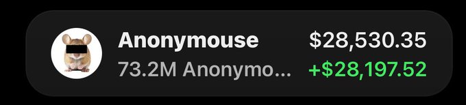 A token tracker widget showing 'Anonymouse' with 73.2M supply and a price of $28,530.35, marking a gain of $28,197.52.