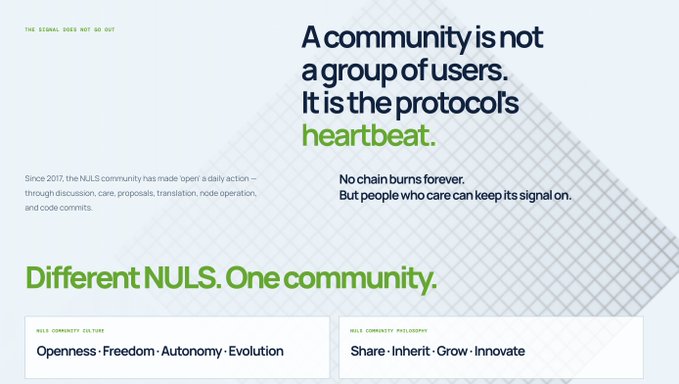 A NULS crypto community slide titled 'A community is not a group of users. It is the protocol's heartbeat.' with subtext 'Different NULS. One community.' and values like 'Openness, Freedom, Autonomy, Evolution'.