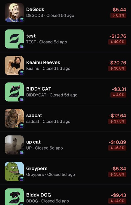 Screenshot of a cryptocurrency token list showing price drops for memecoins including DeGods (-8.1%), test (-40.9%), Keainu Reeves (-30.8%), BIDDY CAT (-4.9%), sadcat (-37.5%), up cat (-16.2%), Groypers (-15.8%), and Biddy DOG (-14.0%).