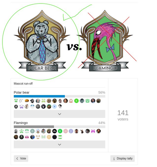 A mascot run-off poll showing 'Polar Bear' defeating 'Flamingo' with 56% to 44% out of 141 voters, with the polar bear option circled in green and crossed out in red.