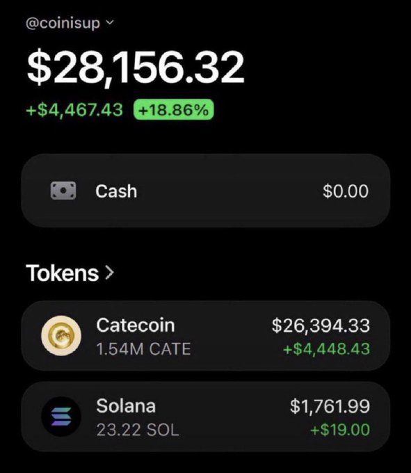 A screenshot of a crypto portfolio showing a balance of $28,156.32 (+18.86%), held primarily in 1.54M Catecoin ($26,394.33) and 23.22 Solana ($1,761.99), seemingly displayed to demonstrate expected airdrop results to followers of @TwinTulips on Solana.