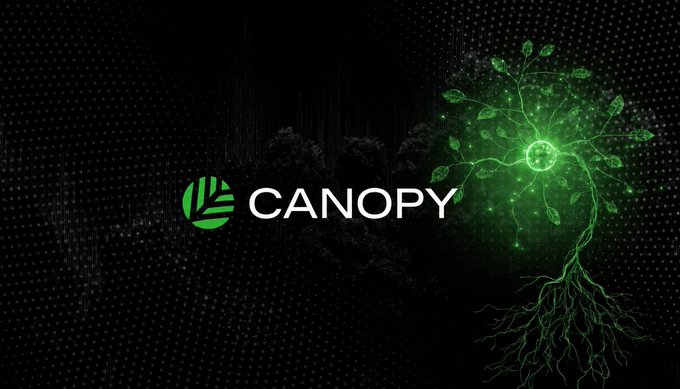 The image features a logo for a company called "Canopy Network" that specializes in appchain technology. The logo includes a green leaf design, which represents the concept of an appchain. The text "CNPY" is displayed below the leaf design, indicating the name of the company and its focus on appchain technology.

The image also contains some text that provides information about the appchain service offered by Canopy Network. It explains how to launch a new appchain in minutes using one-click deployment, emphasizing the security features such as Proof-of-Stake and Proof-of-Age. The post also mentions the concept of NestBFT consensus and Testnet, which are related to the stability and scalability aspects of an appchain network.