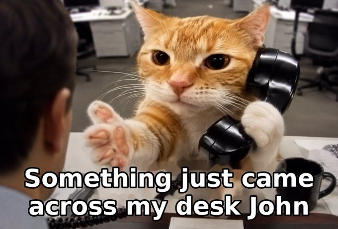 A meme showing an orange and white cat with a human hand wearing a black headset reaching across a desk toward a person, with the caption 'Something just came across my desk John'.