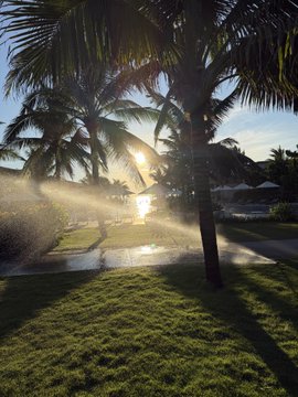 The image features a beautiful tropical setting with palm trees, a pool of water spraying from the ground, and a large body of water reflecting the sun's rays. The sun appears to be setting behind the palm trees, creating an enchanting atmosphere. In the foreground, there is a grassy area where some people are standing or walking around.