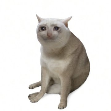 A pale, cream-colored cat sits upright against a white background, gazing upward with a slightly startled expression. The image humorously represents "$CASHCAT," a new cryptocurrency now available to trade on Bitstamp via Robinhood, playfully linking the feline mascot to the digital asset's branding.