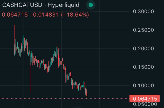 The image shows a candlestick chart of CASHCAT/USD on Hyperliquid, with the price currently at 0.064715, down 18.64% (-0.014831) on the day and having collapsed in a near-vertical decline from around 0.27 to 0.065 — visually confirming the post's claim of a ~70% wipeout since the perpetuals listing, likely driven by leveraged long liquidations.