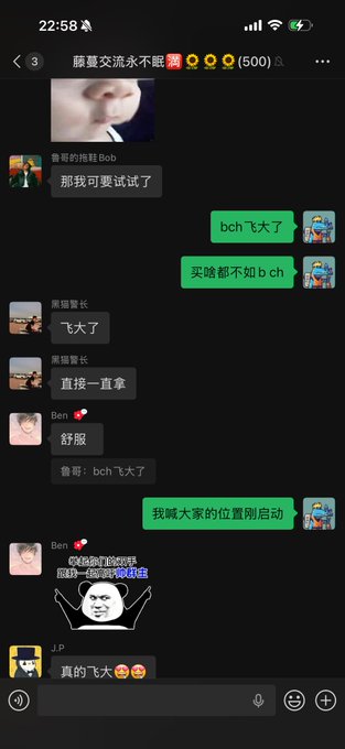 The image shows a Chinese group chat discussing Bitcoin Cash ($BCH), with messages like "bch 飞大了" (BCH pumped big) and "真的飞大了" (really pumped big), accompanied by emojis celebrating the price surge. This aligns with the post's boast about $BCH making the group profit ("eat dirt" referring to bears losing), as the chat shows excited reactions to BCH's upward price movement.