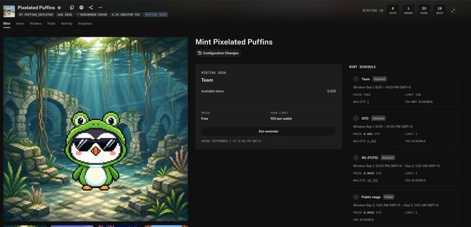 Screenshot of the Pixelated Puffins NFT minting page on Magic Eden, showing mint details for the 'Team' stage priced at 0.0055 ETH with a maximum supply of 3,333.