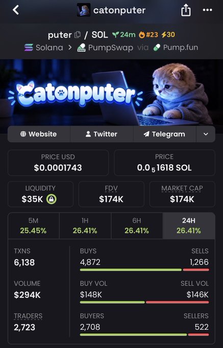 A cryptocurrency trading interface showing the 'catonputer' token (ticker: puter) on Solana via PumpSwap/Pump.fun, with a price of $0.0001743, market cap of $174K, and positive performance metrics across 5M, 1H, 6H, and 24H timeframes.