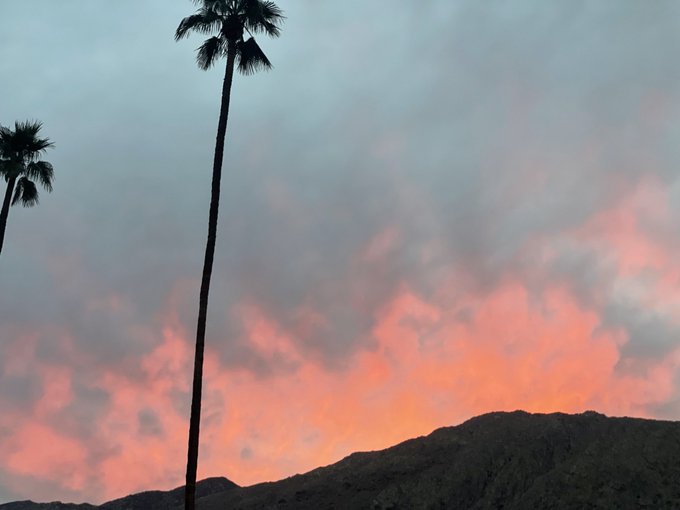 A sunset scene with pink and orange clouds above dark mountains, framed by silhouettes of tall palm trees.