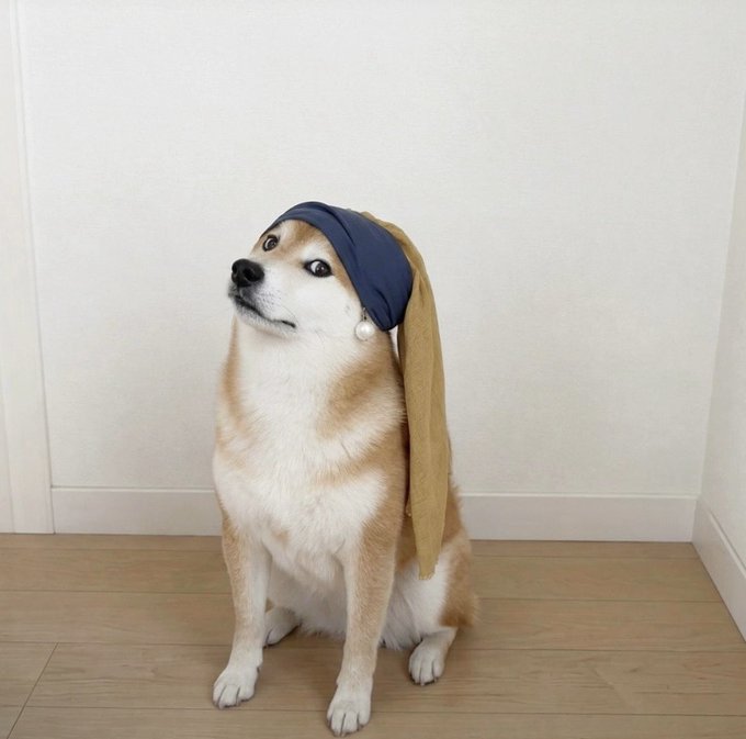 A Shiba Inu dog sits on a wooden floor wearing a blue headband with tan cloth flaps hanging down as a costume piece.
