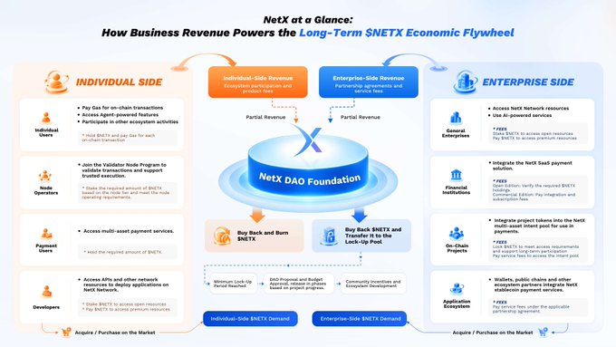 An infographic titled "NetX at a Glance: How Business Revenue Powers the Long-Term $NETX Economic Flywheel" showing the dual-sided ecosystem with Individual-Side and Enterprise-Side users supporting the NetX DAO Foundation.