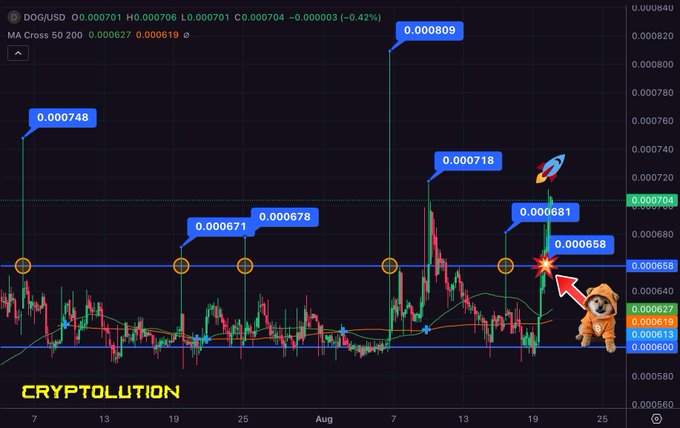 A cryptocurrency trading chart displays DOG/USD price action with technical analysis, highlighting a breakout pattern with support and resistance levels, marked by the brand 'CRYPTOLUTION' and a Shiba Inu graphic.