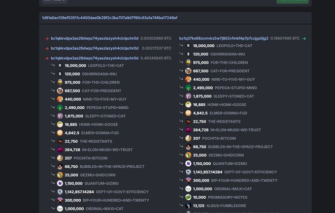 Screenshot of a cryptocurrency tracking website displaying transaction details with various memecoins such as LEOPOLD-THE-CAT, OSHIRNOANA-INU, and POCHITA-BITCOIN.