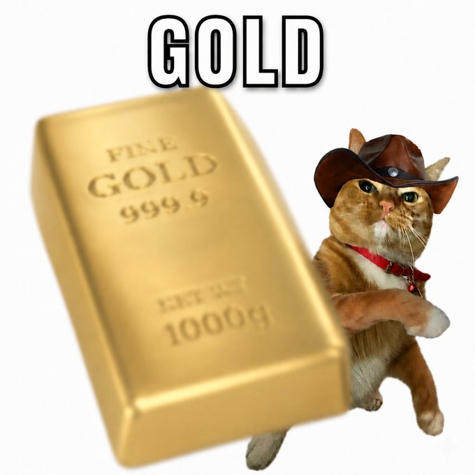 The image features an orange cat wearing a cowboy hat, standing next to a large gold bar that reads "Gold" with the number "99999" written below it. The cat appears to be posing for the photo while holding onto the gold bar. In the background of the image, there is text that says "Turn your trades into gold Join the DigiFinex $XAUT Trading Event and get a chance to win gold rewards". This suggests that the image might be promoting an event or product related to trading in gold or investing in gold-related opportunities.
