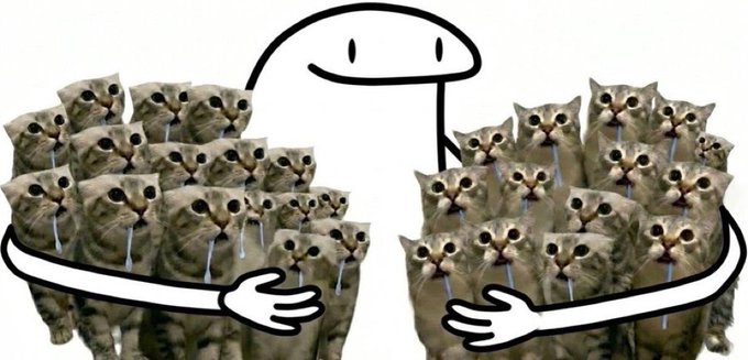 A meme featuring a simple white stick figure holding trays of crying cats on both sides, illustrating a sad or overwhelmed feeling.