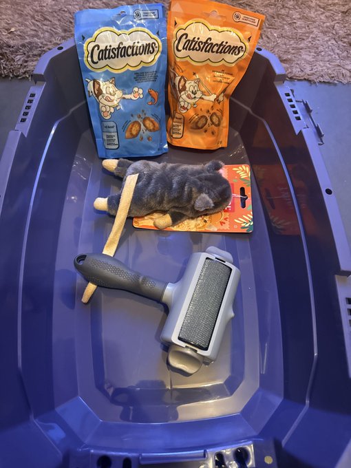 A blue plastic container holding two bags of "Catisfactions" cat treats (one blue and one orange), a catnip-filled mouse toy, and a grey lint roller, with the cat toy lying on a cardboard scratching surface.