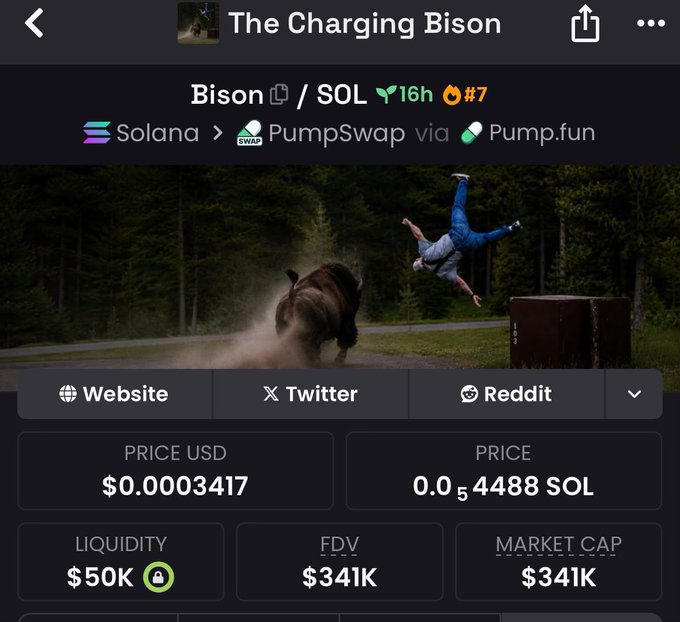 The image shows a DexScreener page for "The Charging Bison" (Bison/SOL) on Solana via PumpSwap/Pump.fun, displaying a price of $0.0003417 and a market cap of $341k alongside an action shot of a bison charging toward a person mid-flip. It visually represents the post's hype about catching the token early before it potentially runs, matching the post's confident, "catch early or chase later" tone.