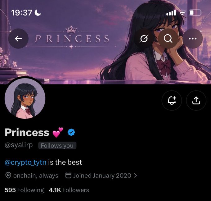 A Twitter/X profile screenshot for 'Princess' (@syalirp) featuring anime-style artwork, displaying 4.1K followers and the bio '@crypto_tytn is the best'.