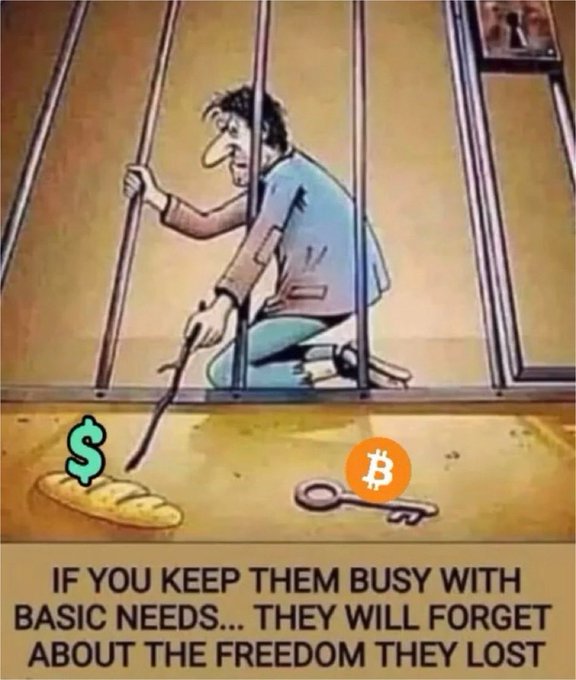 A political cartoon depicting a prisoner in a jail cell reaching for a dollar sign and bread outside the bars while a Bitcoin key sits nearby, with text reading 'IF YOU KEEP THEM BUSY WITH BASIC NEEDS... THEY WILL FORGET ABOUT THE FREEDOM THEY LOST'.