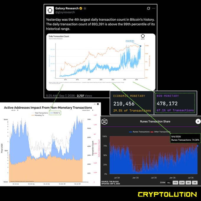 A composite infographic analyzing Bitcoin transaction data from Galaxy Research (@gtkxyresearch), showing the 4th largest daily transaction count of 893,391, broken down into 210,456 economic/monetary (29.5%) and 478,172 non-monetary (67.1%) transactions, with Runes transactions making up 74.38%; branded with 'CRYPTOLUTION'.