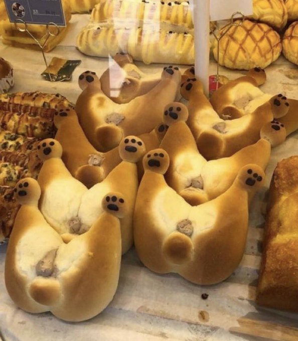 The image features a display case filled with Shiba Inu bread, which has been shaped into animal heads as part of an artistic presentation. The bread is arranged in various positions within the display case, showcasing its unique design and attracting attention from passersby. The post accompanying this image includes text that reads "Shiba Inu bread. Why'd you make it in that pose lol". This humorous caption adds a lighthearted touch to the scene, highlighting the playful nature of the Shiba Inu bread's design.