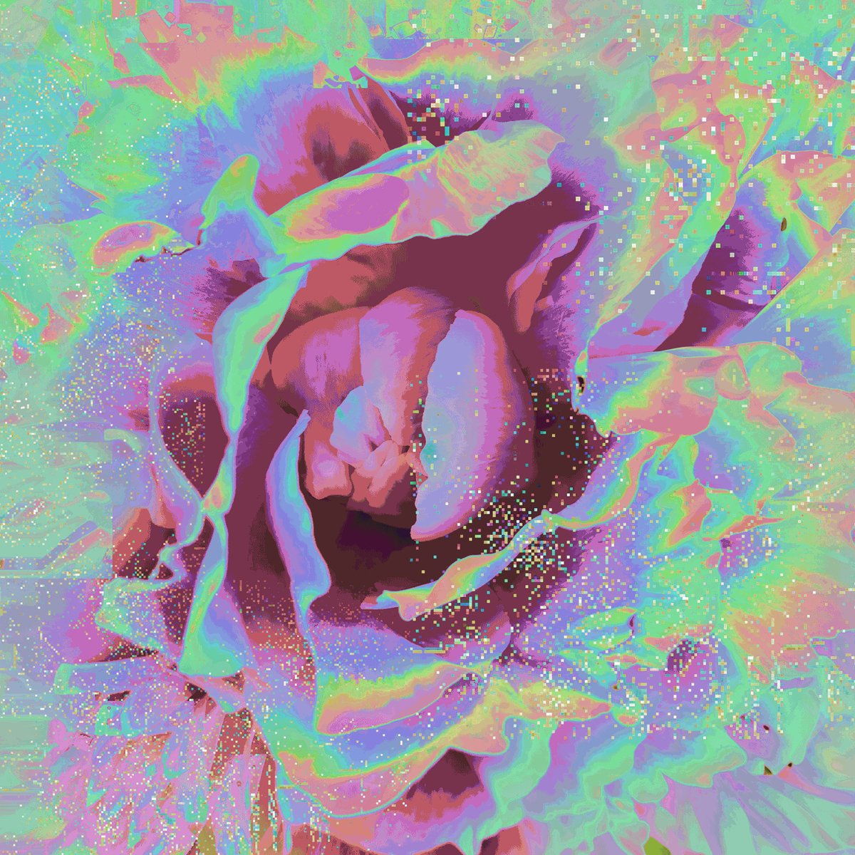 The image features a close-up view of a rose with a vibrant mix of colors, including shades of pink, purple, green, blue, and white. The rose appears to be in full bloom, showcasing its intricate details and layers. The background is a gradient of colors that transitions from light to dark, creating an ethereal atmosphere around the rose. The image also contains text that reads "The Origin of the World 70 tezos - 5 editions", which seems to be related to the rose's origin or the artist's inspiration behind the piece.