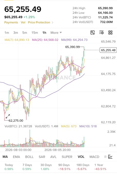 A Binance BTC/USDT 1-hour candlestick chart shows Bitcoin trading at $65,255.49, up 1.29%, with a 24-hour high of $65,390.99 and trading volume of 732.00M USDT—illustrating the short-term volatility referenced in the post about market noise and opportunistic price swings.
