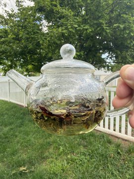 The image features a teapot filled with tea leaves, held up by someone's hand against a backdrop of trees. The person appears to be enjoying their tea outdoors, surrounded by nature. The scene suggests that they are taking time for relaxation and self-care in a serene environment.