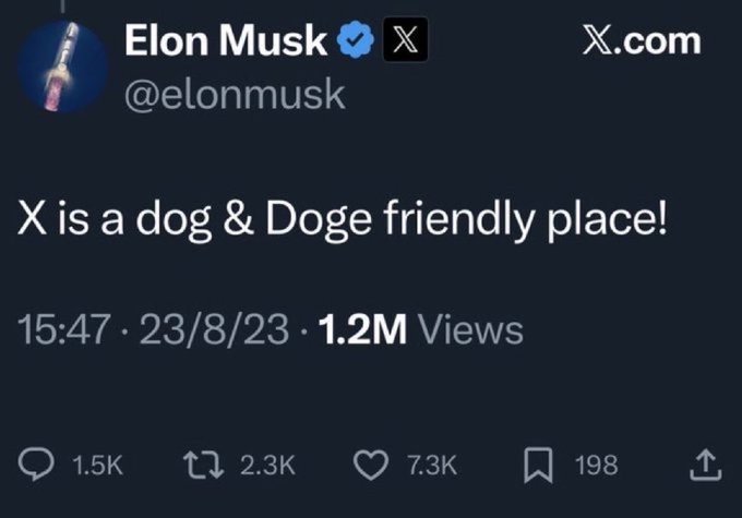 A tweet from Elon Musk (@elonmusk) stating 'X is a dog & Doge friendly place!', posted on 23/8/23 with 1.2M views.