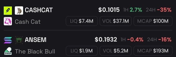 A crypto market dashboard shows $CASHCAT (Cash Cat) at $0.1015 with a market cap of $100M, down 35% in 24 hours on $37.1M volume, alongside $ANSEM (The Black Bull) at $0.1932, down 16% on the day. The sharp decline visualized in CASHCAT's price and the panic-inducing market cap drop directly reflects the post's concern about the token falling below $100M.
