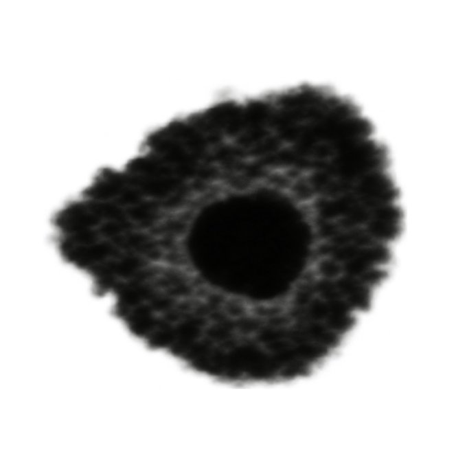 A grayscale autoradiograph or microscopy image showing a roughly oval cluster of dark, granular specks arranged around a dense central core, resembling a colony or cellular aggregate. The image visually evokes the "organism" metaphor in the caption, depicting a decentralized on-chain entity (CA: 71Au4GiSJrh1Qj4yJKKHX86LWjCrQPaDesB1k7Xepump) as a living, metabolizing structure.