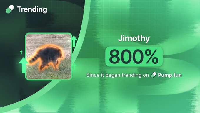 The image displays a "Trending" notification for "Jimothy," showing an 800% increase since it began trending on Pump.fun, accompanied by a small photo of a raccoon with an orange outline. This visual reinforces the post's claim of the cryptocurrency's significant surge following its trending status on the platform.