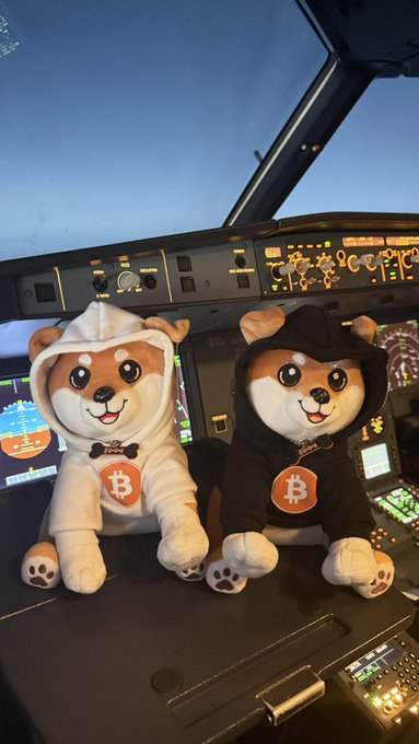 Two plush dog toys dressed in Bitcoin-themed outfits (one white, one black) sitting on an airplane cockpit dashboard at dusk.