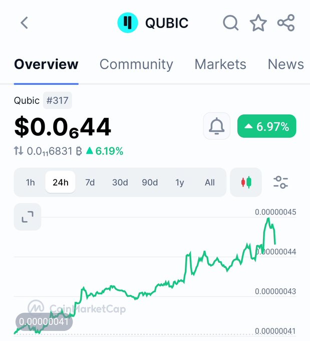 A CoinMarketCap overview of Qubic (#317) showing a price of $0.00000644, a 6.97% increase, and a 24-hour price chart.