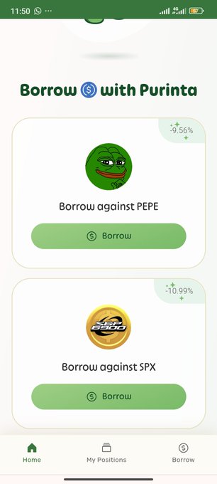 Mobile app screenshot of 'Borrow with Purinta' showing options to borrow against PEPE (-9.56%) and $PX (-10.99%) cryptocurrencies.