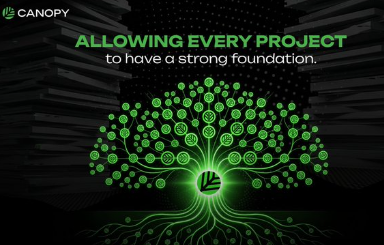 Canopy marketing graphic reading 'ALLOWING EVERY PROJECT to have a strong foundation' with a glowing green tree illustration made of cryptocurrency coins.