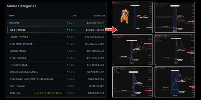 A cryptocurrency dashboard showing "Meme Categories" with an arrow pointing from "Dog-Themed" (showing a market cap of $18,613,419,790 and 6.6% gain) to charts displaying DOGS, NEIRO, and other dog-themed tokens.