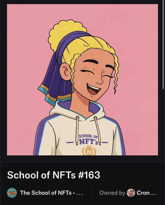 An NFT titled "School of NFTs #163" from "The School of NFTs" owned by "Cron..." shows a cartoon character with yellow hair in a headscarf and a "SCHOOL OF NFTs" hoodie.