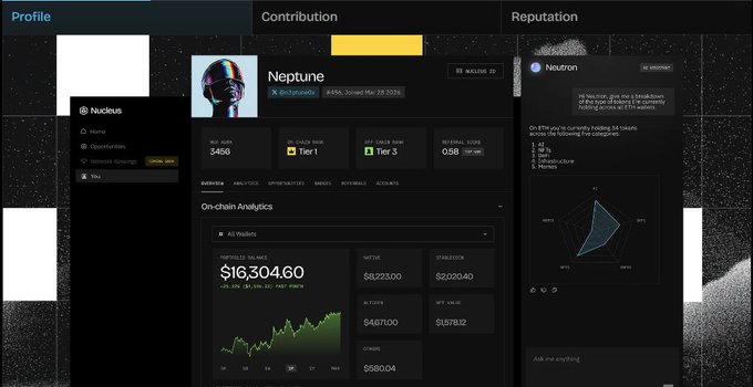 A dark-themed analytics dashboard for the user 'Neptune' showing an 'On-chain Analytics' value of '$16,304.60' and various charts and statistics.