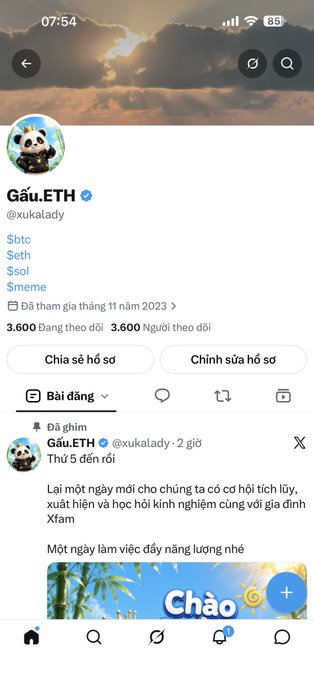 A mobile Twitter/X profile screenshot showing the account 'Gâu.ETH' (@xukalady) with a panda avatar, displaying crypto holdings including $btc, $eth, $sol, and $meme, with a Vietnamese-language post about daily life.