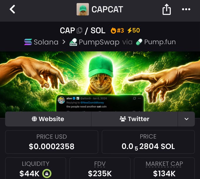 The image shows a screen with a description of something called "CAP Ca: 8Zrbh9DJFgY5H6jqZb3CWeMF6wLGMHiDKvkK4qSTpump". This text is related to a post, presumably about the cryptocurrency pump that CAP represents. The caption reads, "Press like if you're holding $CAP Ca: 8Zrbh9DJFgY5H6jqZb3CWeMF6wLGMHiDKvkK4qSTpump". The image focuses on this description, and the background of the image features a green hat with the words "CAP", "SOLANA" written above it.