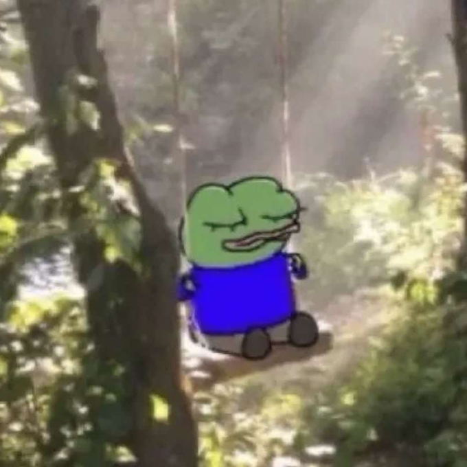 A Pepe the Frog cartoon character in a blue shirt sitting on a swing in a forest setting.