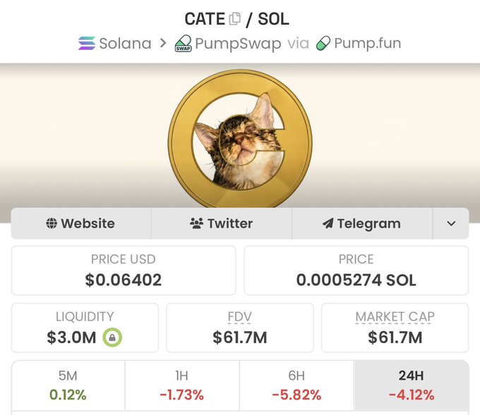 The image displays a crypto token info page for CATE on the Solana network, showing a price of $0.06402 (0.0005274 SOL), a market cap and FDV of $61.7M, $3.0M liquidity, and 24-hour price change of -4.12%. The "maxbid" caption reflects a bullish sentiment toward this cat-themed meme coin despite recent declines across all timeframes (1H: -1.73%, 6H: -5.82%, 24H: -4.12%).