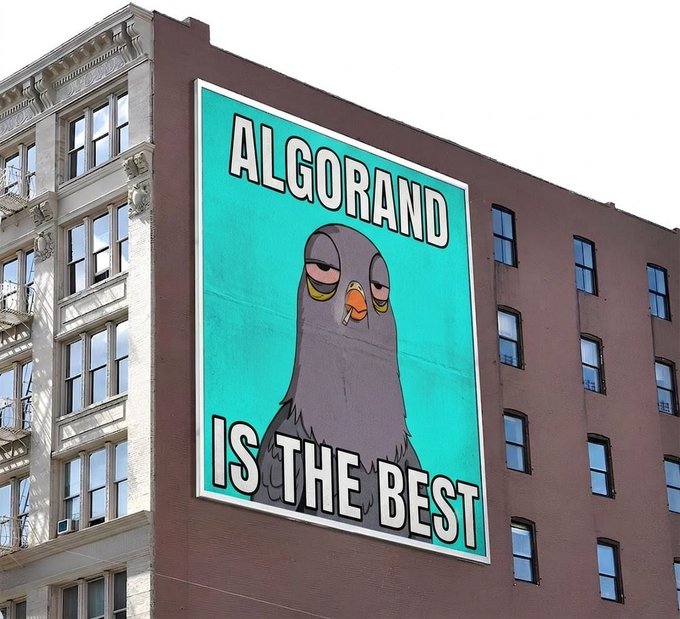 A large billboard on the side of a brown brick building featuring a cartoon pigeon with the text 'ALGORAND IS THE BEST' on a teal background.
